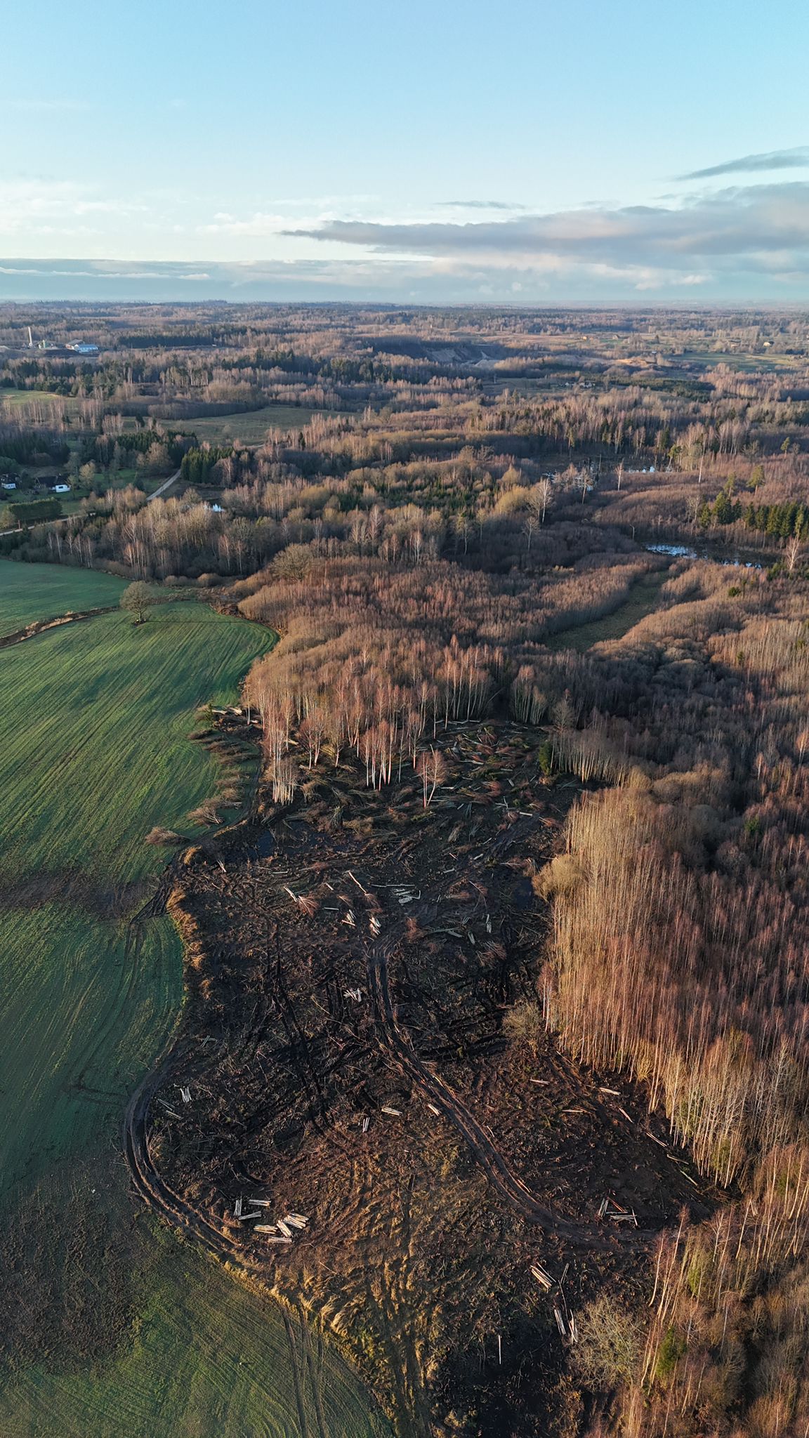 Meža fotofiksācija