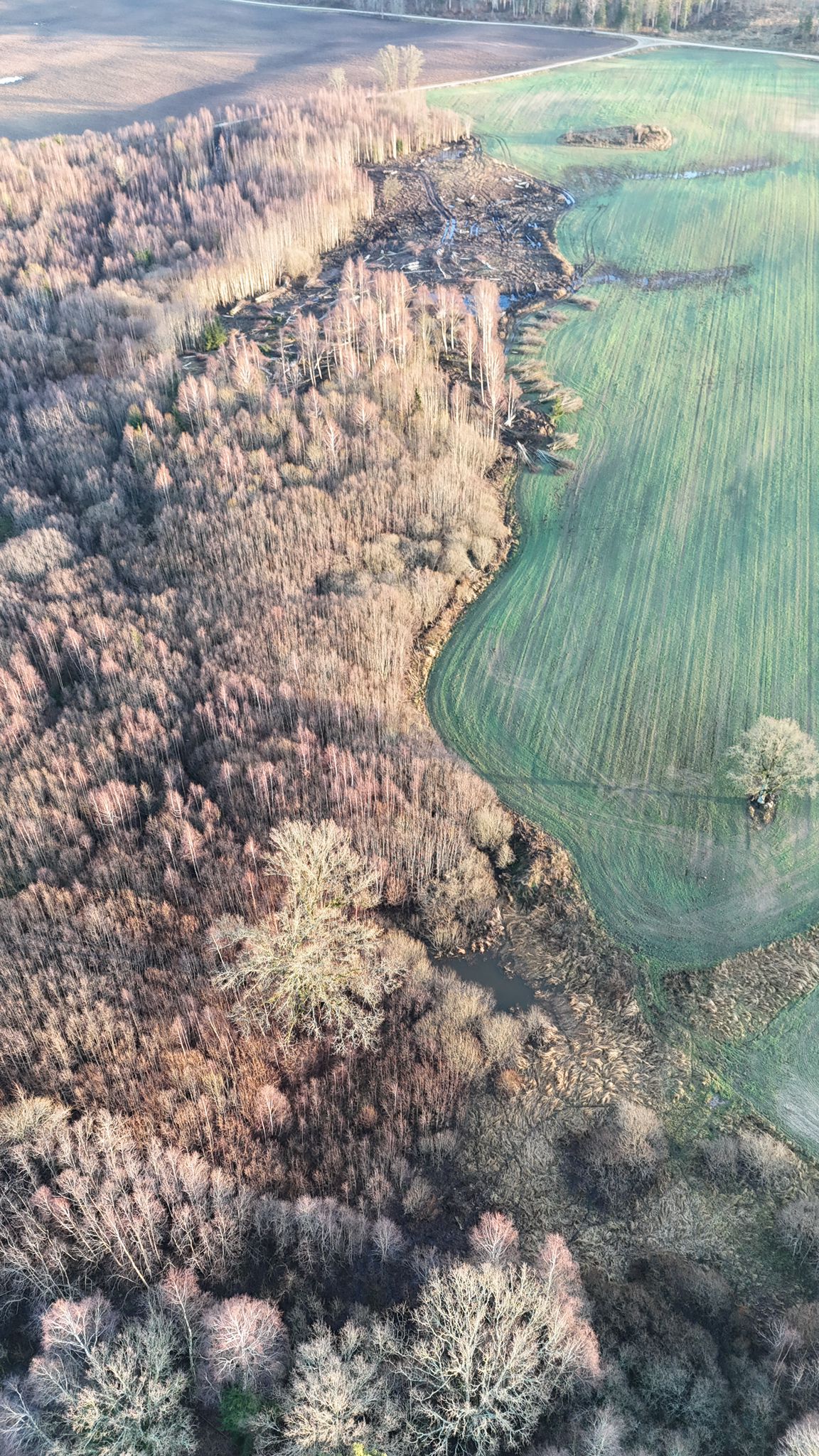 Meža dokumentācija